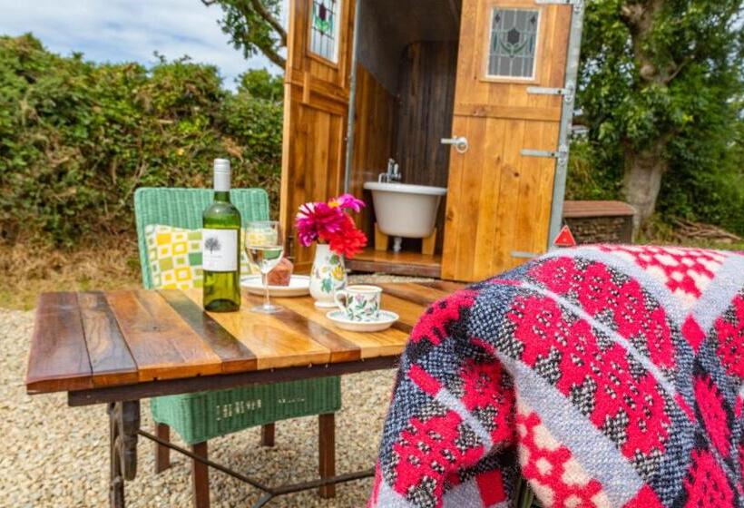 חדר סופריור נוף לים, Penrhiw Farm B & B