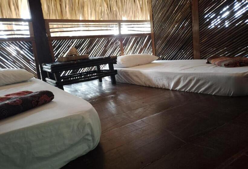 공동 객실, Bonita Hostel