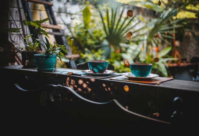 غرفة قياسية داخلية, La Happycleta