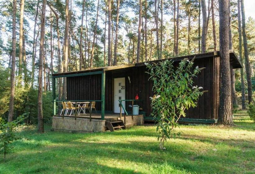 Бунгало Стандарт, Urlaub Im Bungalow Mitten Im Wald