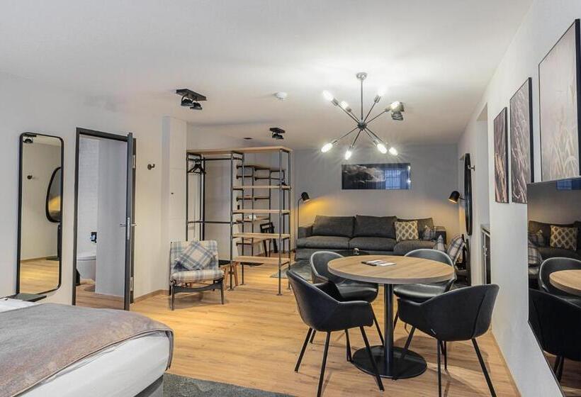 Студия Стандарт, Alpine Inn Davos