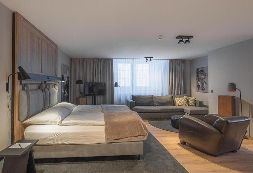 Студия Стандарт, Alpine Inn Davos