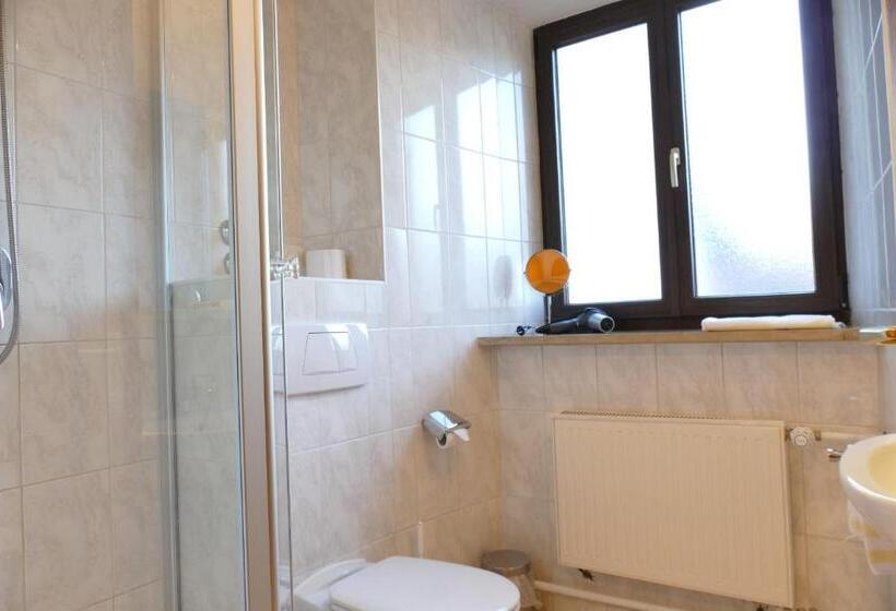 Номер Стандарт Индивидуальный, Altstadt Hotel Zum Hechten