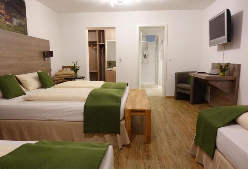 Четырехместный Номер Стандарт, Altstadt Hotel Zum Hechten
