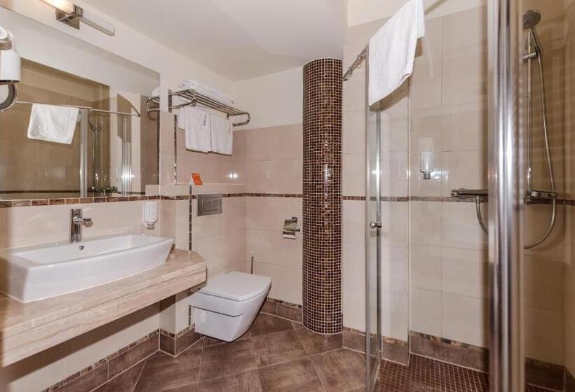 غرفة قياسية, Elbrus Spa & Wellness