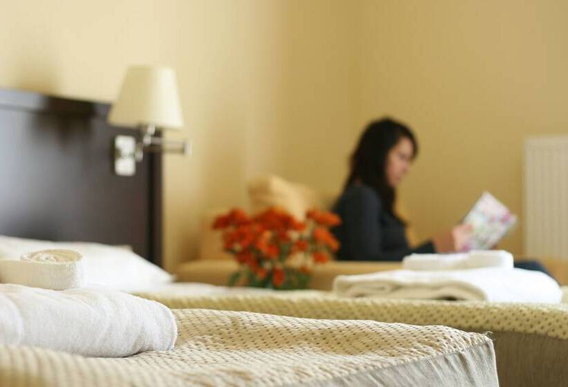 غرفة ديلوكس, Elbrus Spa & Wellness