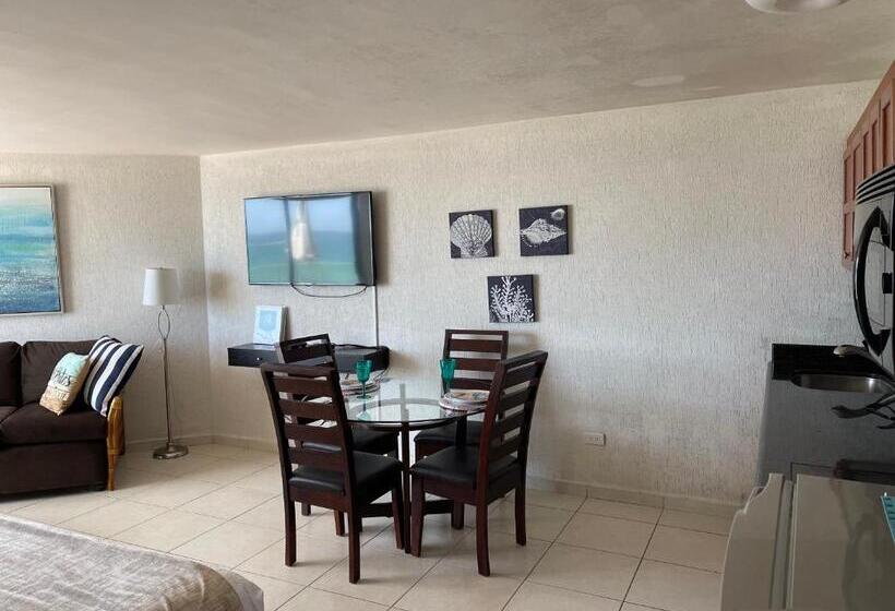 デラックススタジオ, Condominios San Carlos