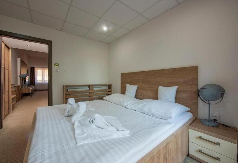 Апартаменты Deluxe 1 Спальня, Wellness Hotel Vinnay