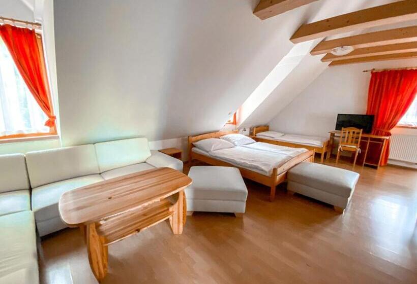 Apartament 1 Dormitor, Penzión Teniscentrum