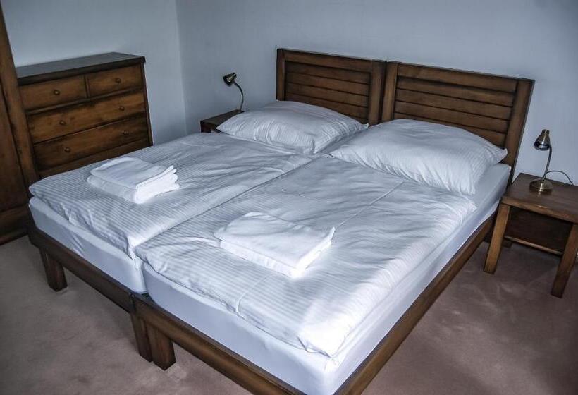 Apartament 1 Dormitor Deluxe, Penzión Teniscentrum