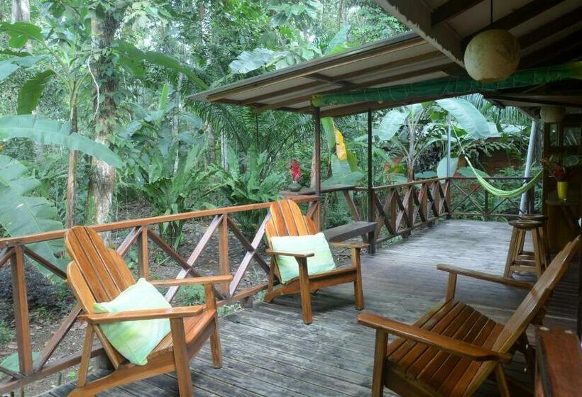 家族用バンガロー, Pachamama Jungle River Lodge   Punta Uva
