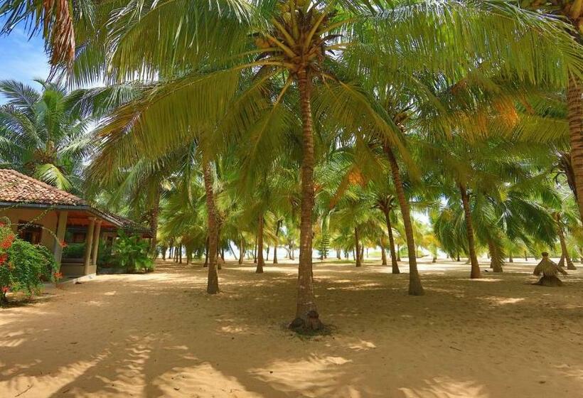 کلبه ییلاقی سوپریور یک خوابه, Mangrove Beach Chalets