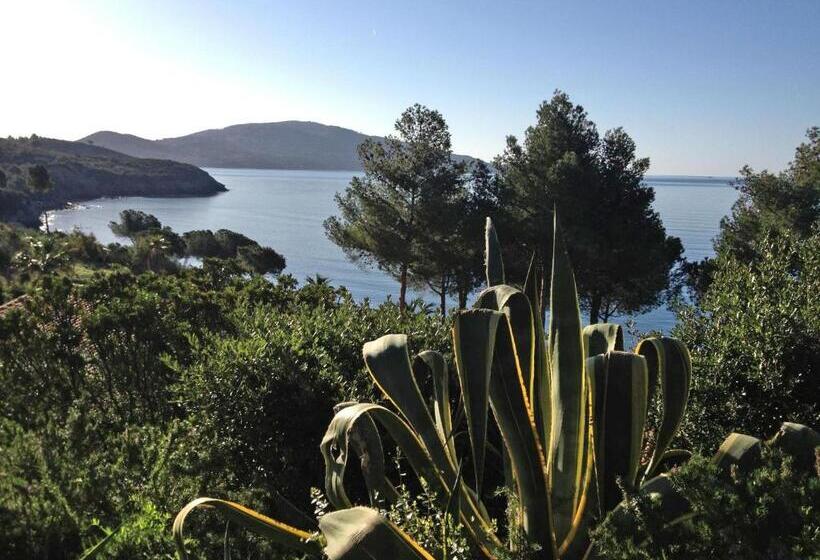 اتاق استاندارد چهار تخته با چشم‌انداز دریا, Capo Sud