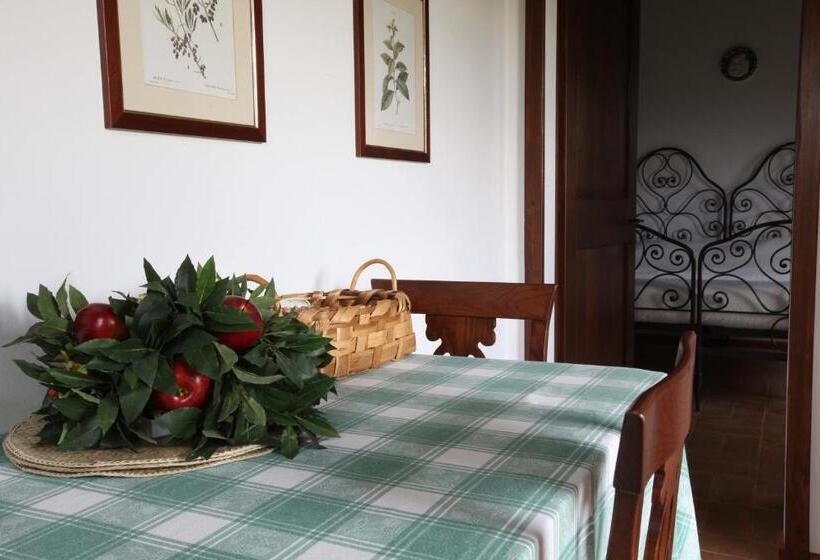 带1个卧室的公寓, Agriturismo San Gallo