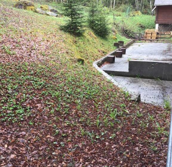 اتاق خانوادگی, Le Refuge Apparts Et 1chalets A Samoens 74