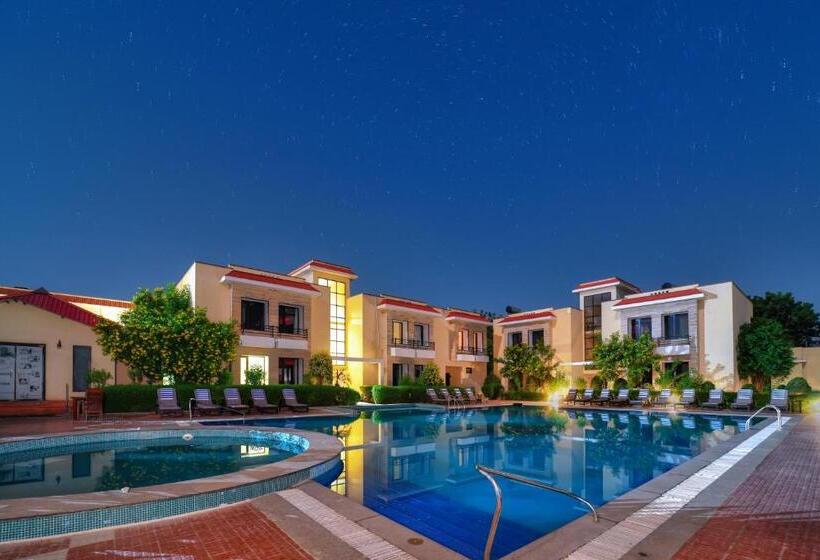 수피리어 룸 풀장 전망, Spree Jungle Vilas Resort Ranthambore
