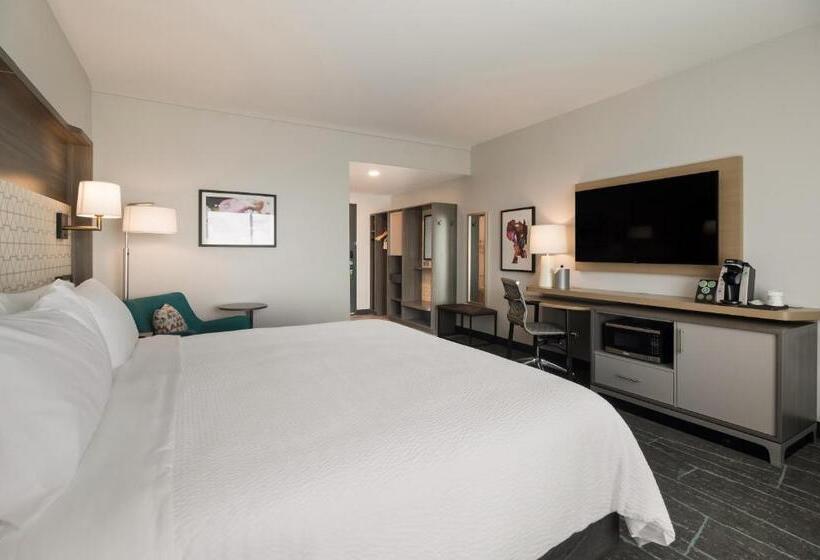 标准单人间, Avid Hotels Mt Juliet – Nashville Area By Ihg