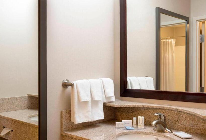 Студия Стандарт, Springhill Suites Midland