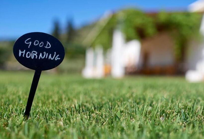 Номер Стандарт, Tenute Plaia Agriturismo