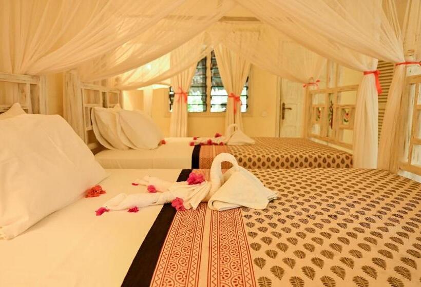 اتاق لوکس, Lions  Luxury Eco Resort & Spa