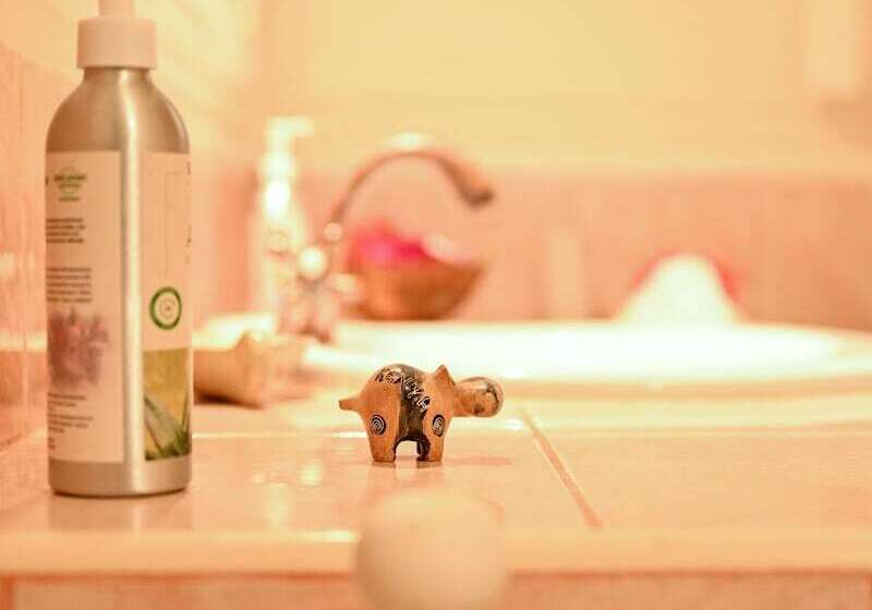 اتاق لوکس, Lions  Luxury Eco Resort & Spa