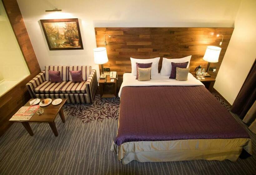 اتاق پرمیوم, The Orchid Hotel Pune Hinjewadi