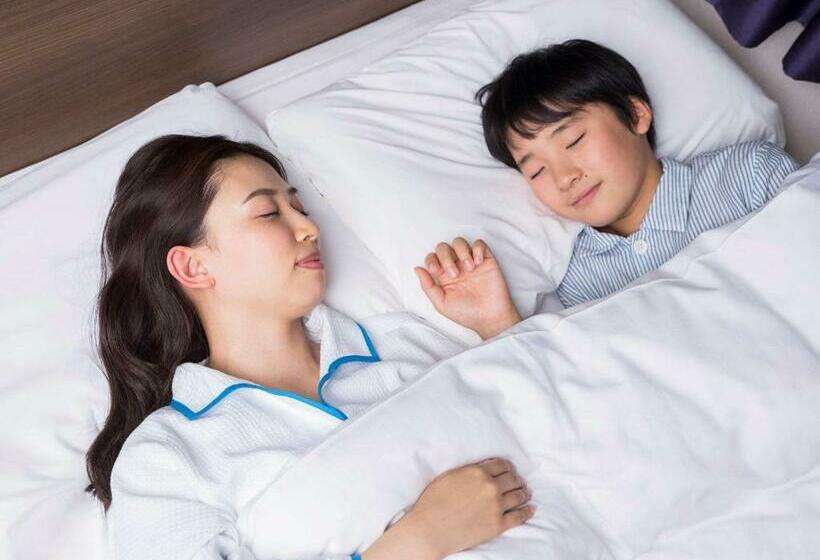 스탠다드 룸, Comfort Hotel Obihiro
