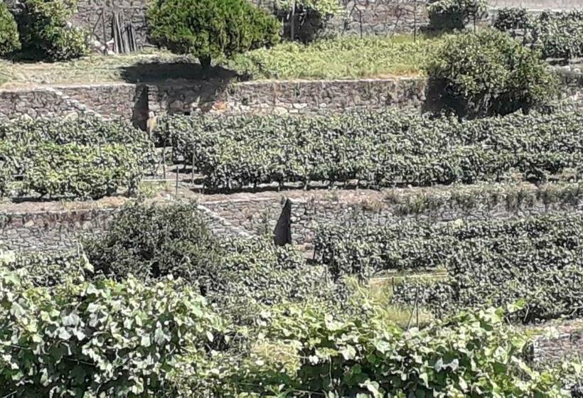 اتاق سوپریور خانوادگی, Mito S House & Douro View
