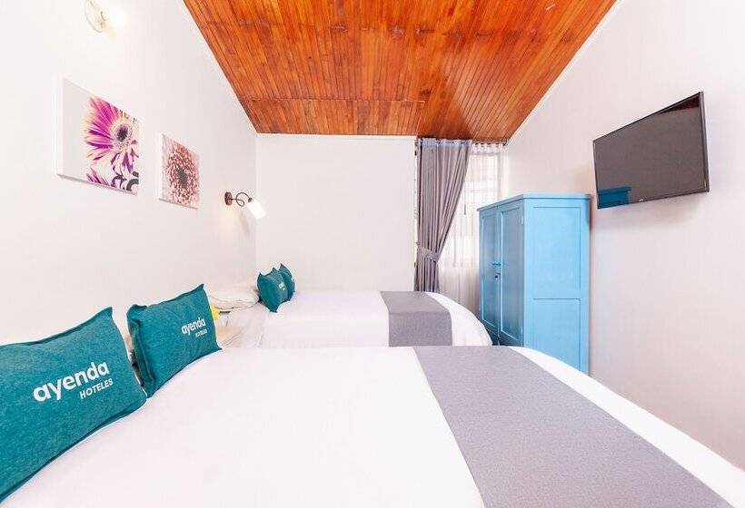 标准间, Ayenda Casa La Castellana