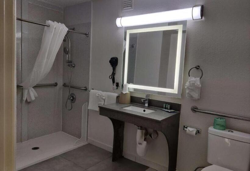 Номер Стандарт Адаптированный для Инвалидов, Best Western Atlanta Cumberland Galleria