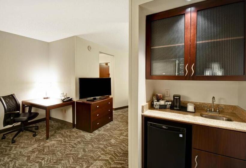 Студио Стандарт Кровать Кинг, Springhill Suites Louisville Airport