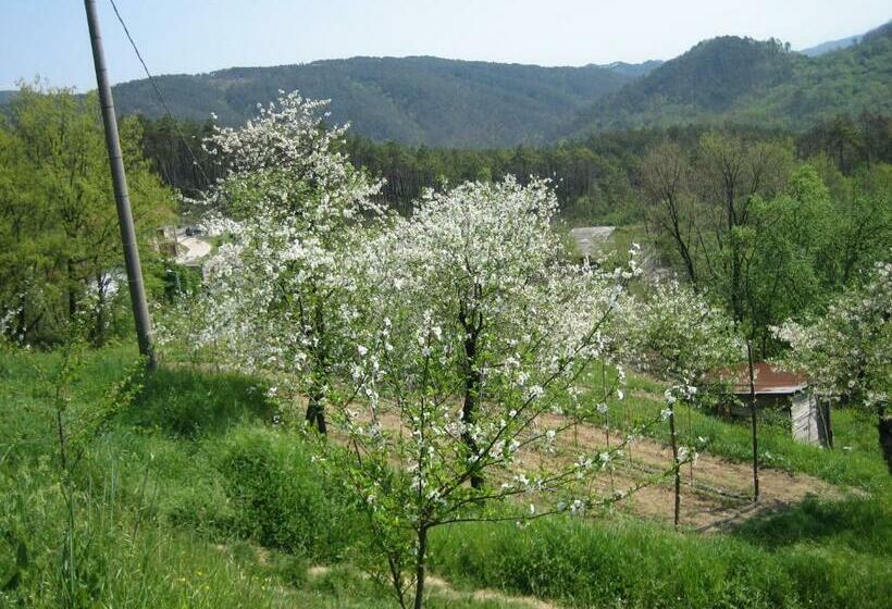 スタンダードトリプルルーム, Agriturismo Casalino