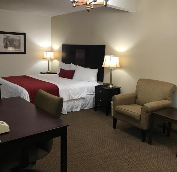 Студия Стандарт, Brentwood Motor Inn