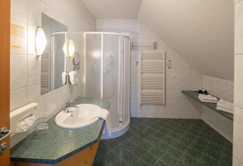 Comfort room with balcony, Garni Oasis Loipersdorf