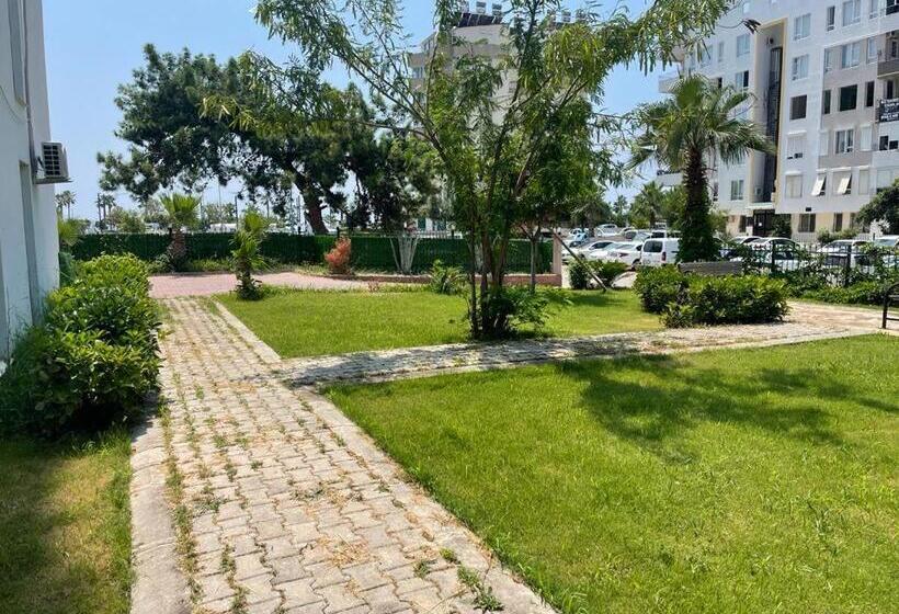 استودیوی استاندارد با چشم‌انداز دریا, Yelken Apart
