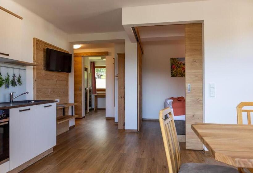 家族用アパートメント, Aparthotel Das Hochkönig
