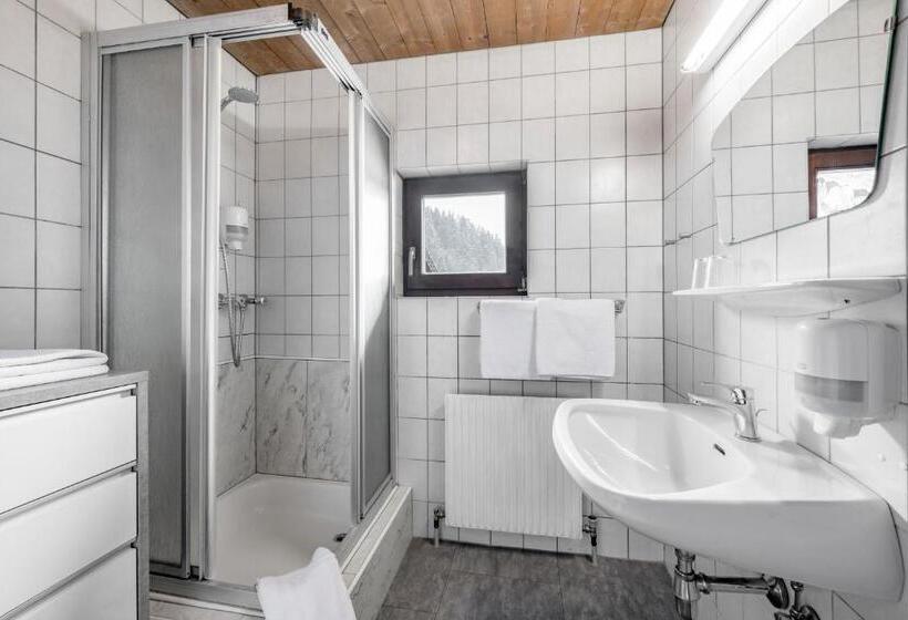 Номер Deluxe, Gasthof Schroll