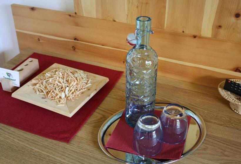 패밀리 룸, Gasthof Thurnerhof