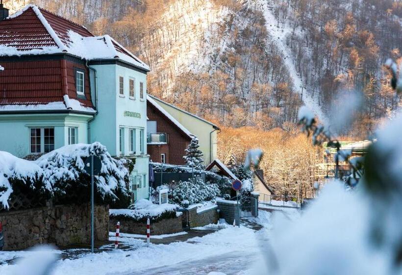 Номер Стандарт, Garni Haus Sonneneck