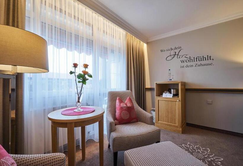 Номер Стандарт Индивидуальный, Thermenhotel Apollo