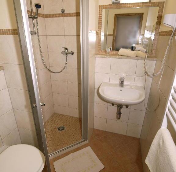 Номер Стандарт Индивидуальный, Xundheits Hotel Garni Eckershof