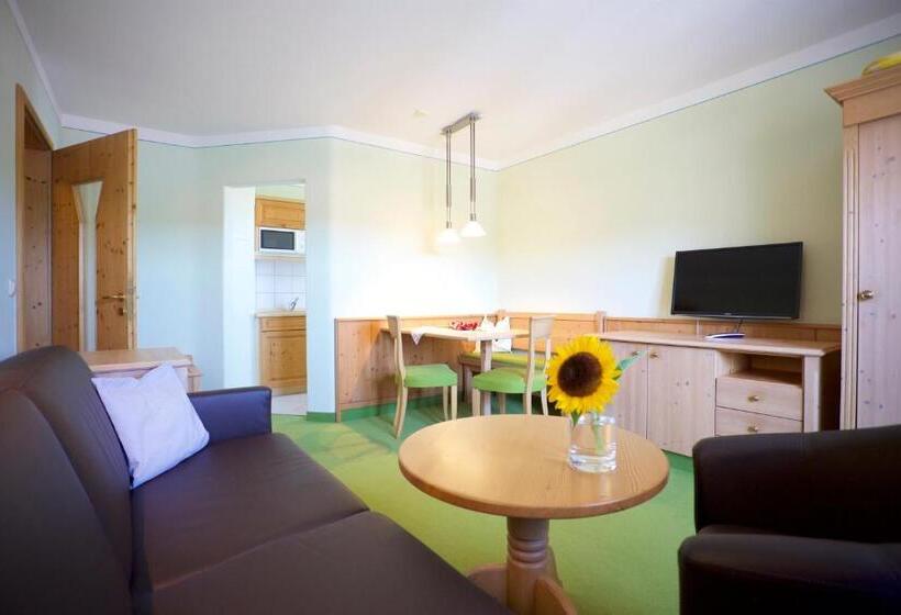Номер Deluxe, Salzburger Hof