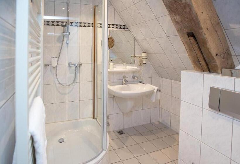 Номер Стандарт Индивидуальный, Romantik Parkhotel Wasserburg Anholt