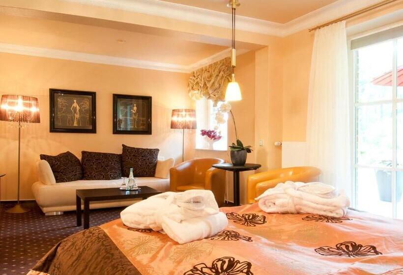 Полулюкс Одноместный с Террасой, Amethyst Hotel Garni Lüneburg
