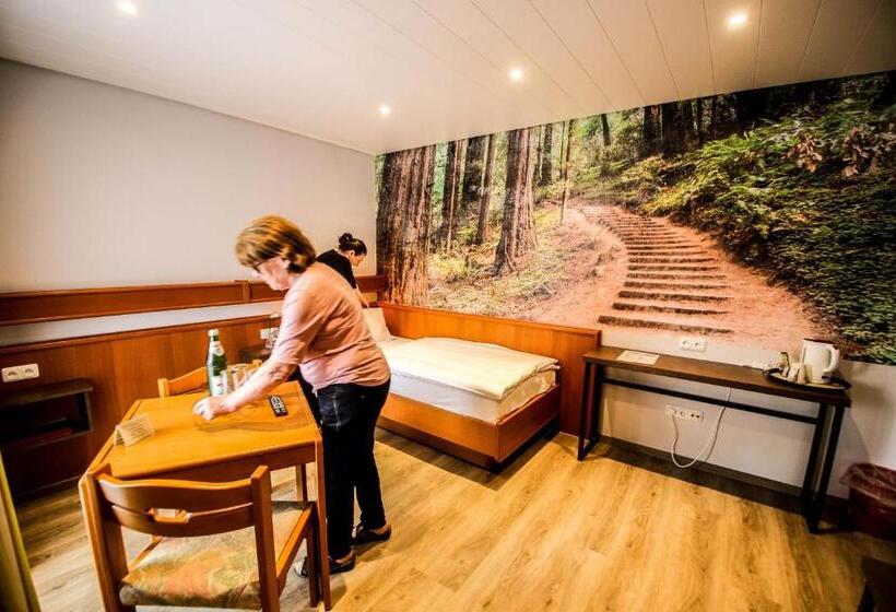 Номер Стандарт Индивидуальный, Landhotel Am Wenzelbach