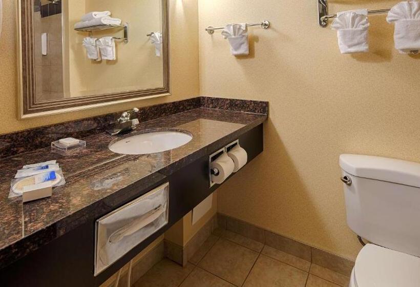 Стандартный Номер Кровать Кинг, Best Western Plus Estevan Inn & Suites