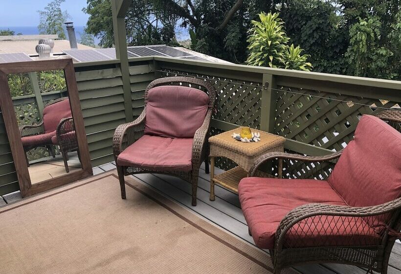 패밀리 아파트, Dragonfly Ranch