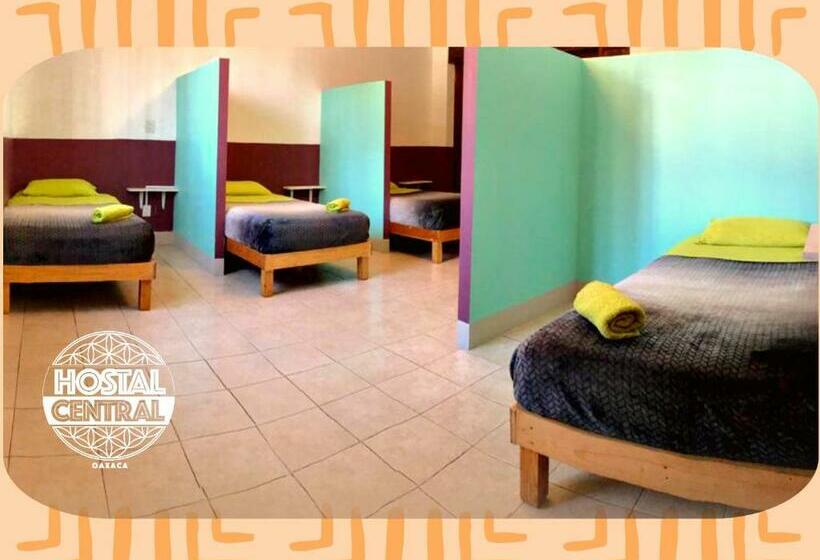 تختخواب در اتاق مشترک, Hostal Central Oaxaca