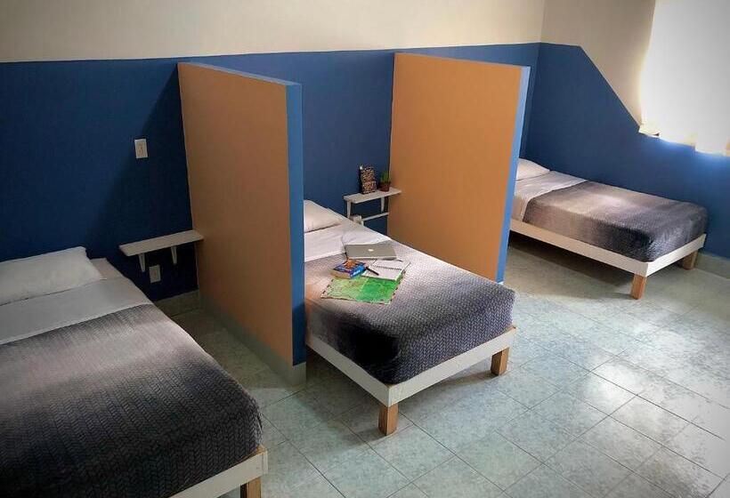 تختخواب در اتاق مشترک, Hostal Central Oaxaca