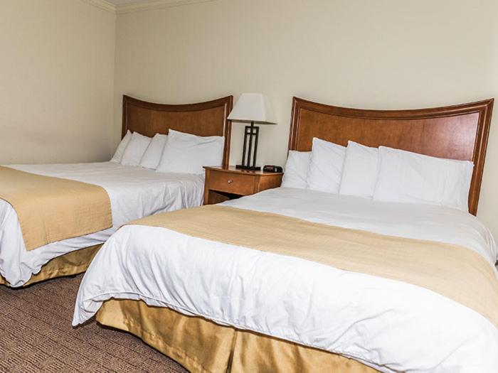 Family Suite, Desert Sand Resort